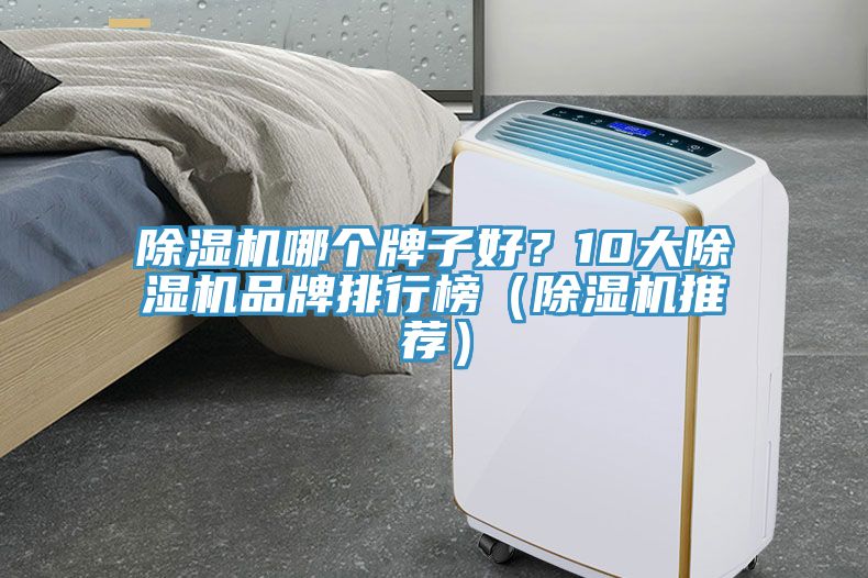除濕機(jī)哪個(gè)牌子好？10大除濕機(jī)品牌排行榜（除濕機(jī)推薦）