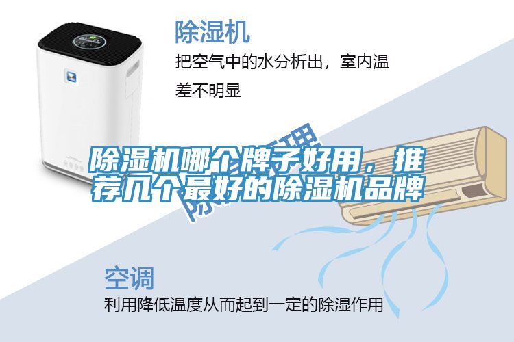 除濕機(jī)哪個(gè)牌子好用，推薦幾個(gè)最好的除濕機(jī)品牌