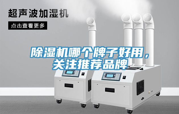 除濕機(jī)哪個(gè)牌子好用，關(guān)注推薦品牌