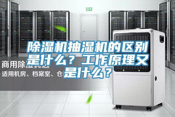 除濕機(jī)抽濕機(jī)的區(qū)別是什么？工作原理又是什么？