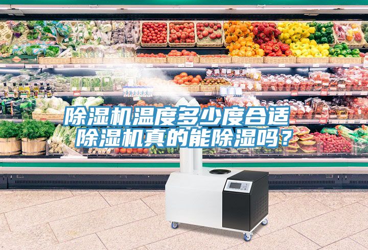 除濕機(jī)溫度多少度合適 除濕機(jī)真的能除濕嗎？