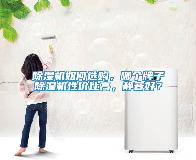 除濕機如何選購，哪個牌子除濕機性價比高，靜音好？