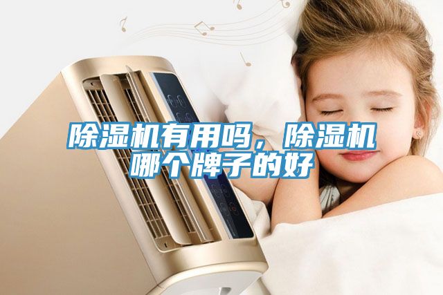 除濕機(jī)有用嗎，除濕機(jī)哪個牌子的好