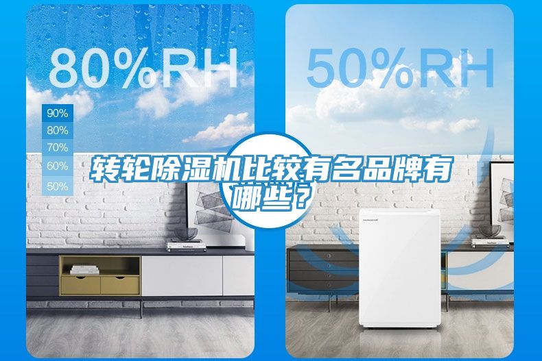 轉(zhuǎn)輪除濕機比較有名品牌有哪些？
