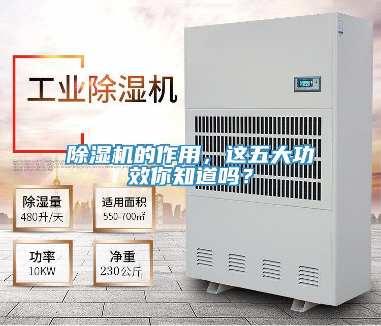 除濕機(jī)的作用，這五大功效你知道嗎？